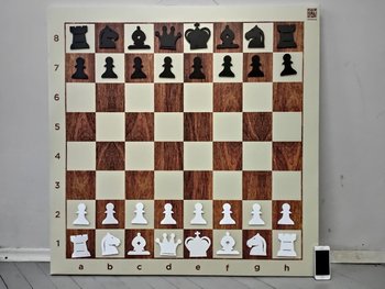 Профессиональные демо шахматы 1 м