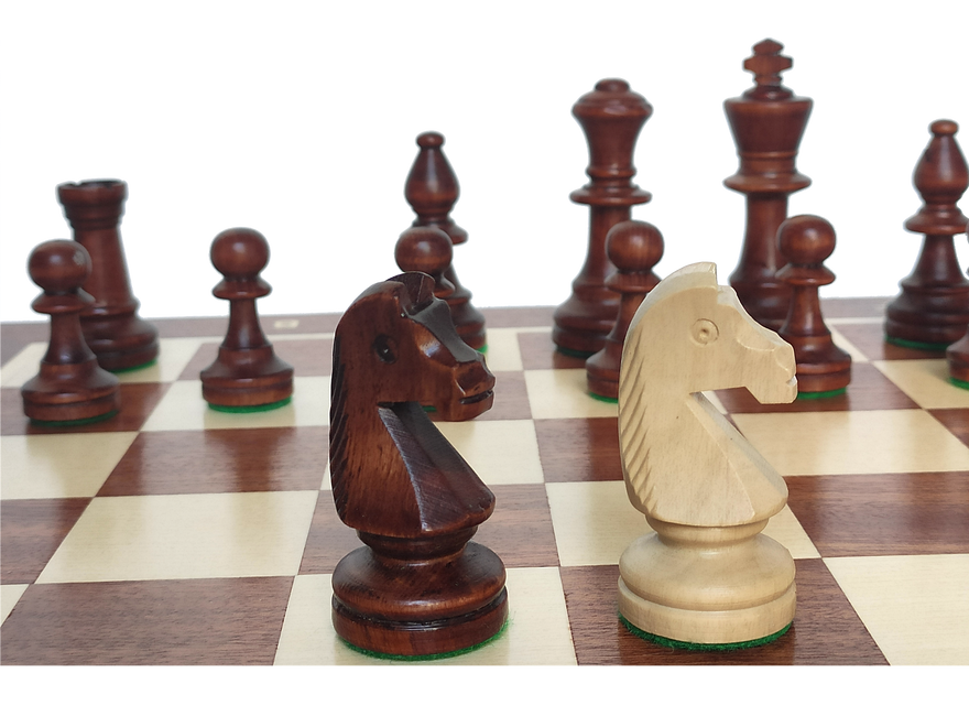 Турнірні шахи №5 Мадон 95