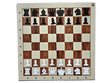 Демонстраційні шахи